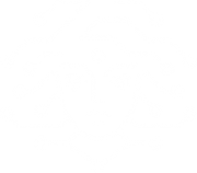 Logo Medusa blanc